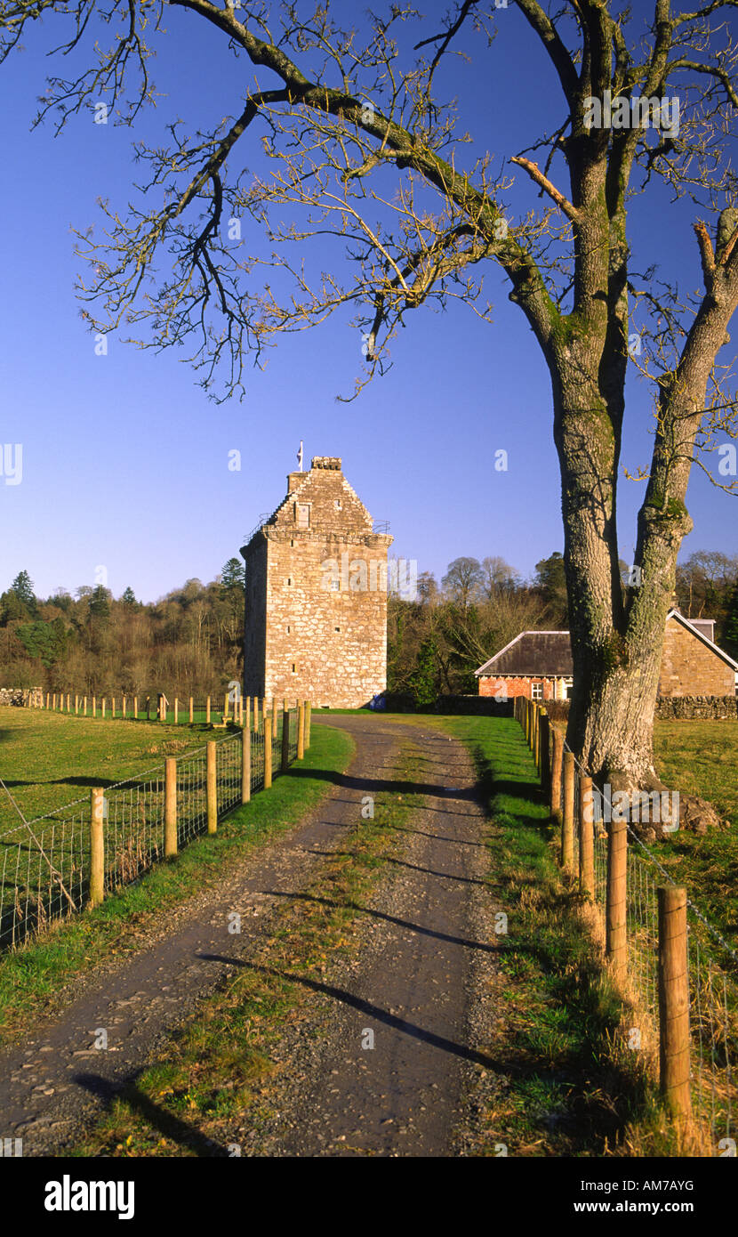 Schottische Burg Gilnockie Tower Gehäuse der Clan Armstrong Museum Cannonbie in der Nähe von Langholm Dumfriesshire Scotland UK Stockfoto