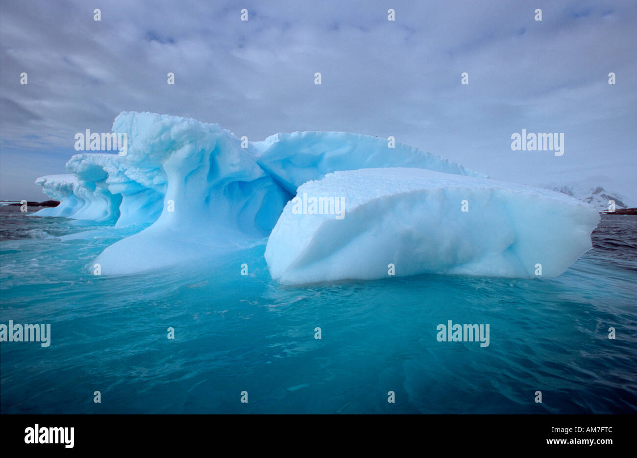 Eisberg, Pleneau Insel Antarktische Halbinsel, Antarktis Stockfoto