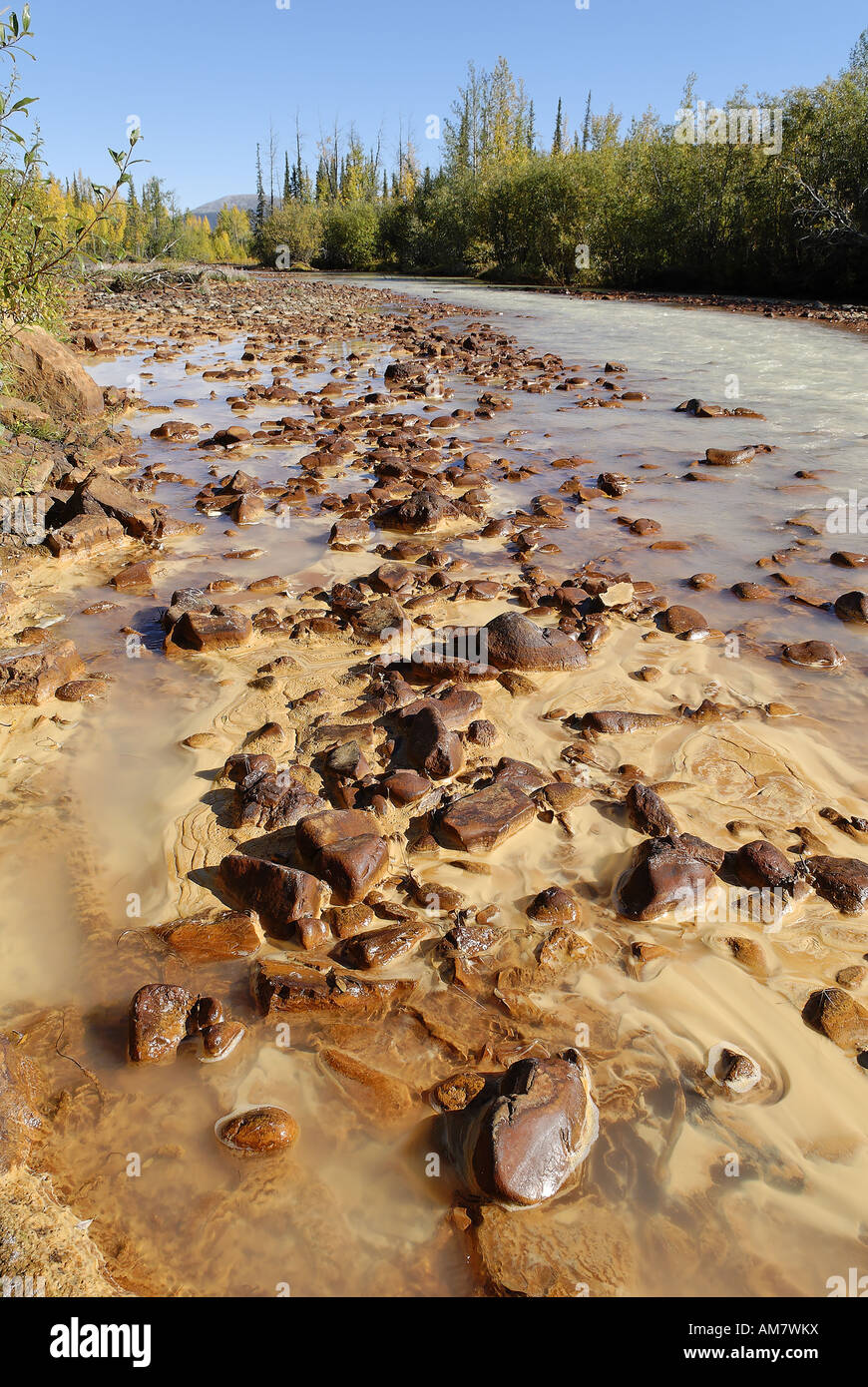 Mineral mit Schlamm am Mineral Creek, Dempster Highway, Yukon Territorium, Kanada Stockfoto