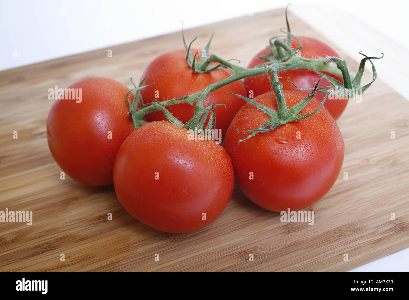Tomaten am Rebstock Stockfoto