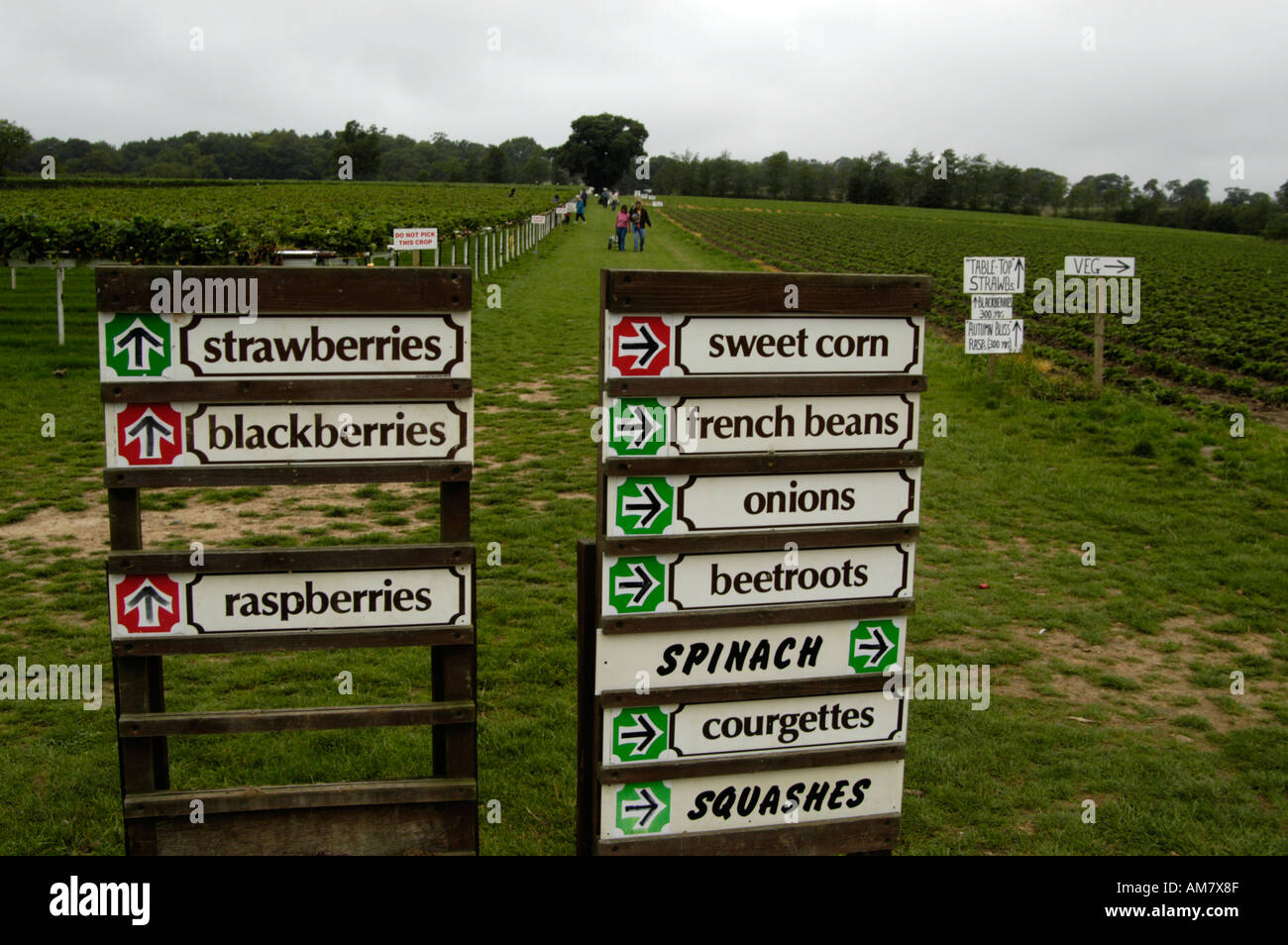 Schilder am Parkside Pick Your Own Bauernhof in Enfield England UK Stockfoto