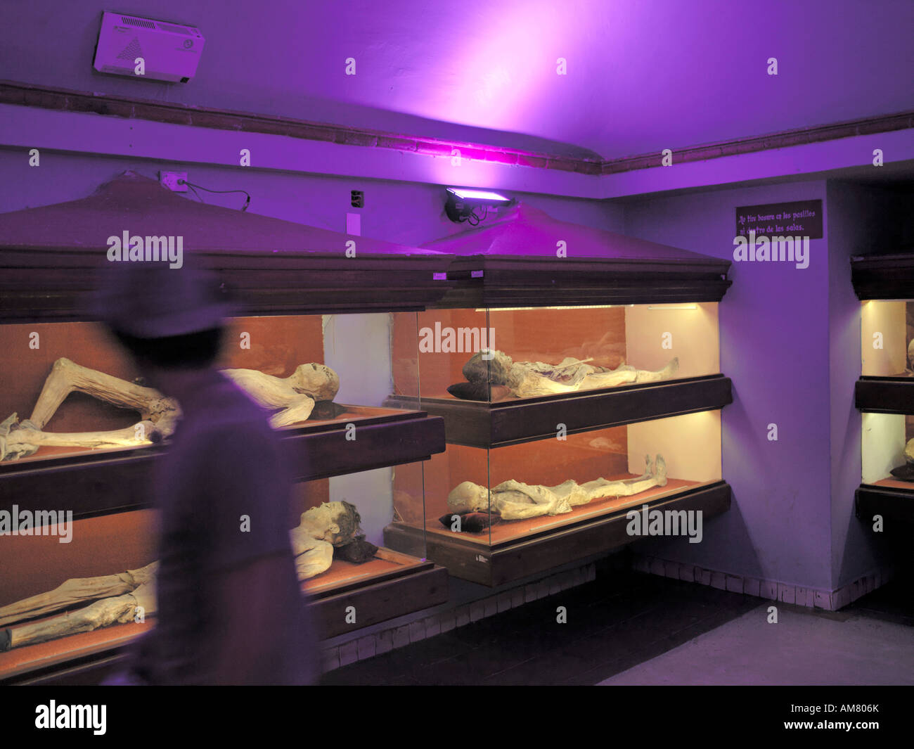 mumifizierten Menschen auf Anzeige im Museum der Mumien in Mexiko Stockfoto