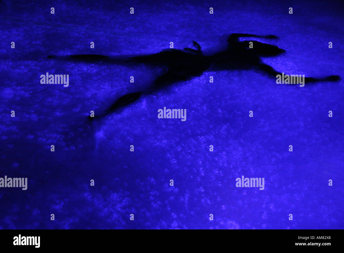 sterben in blau Stockfoto