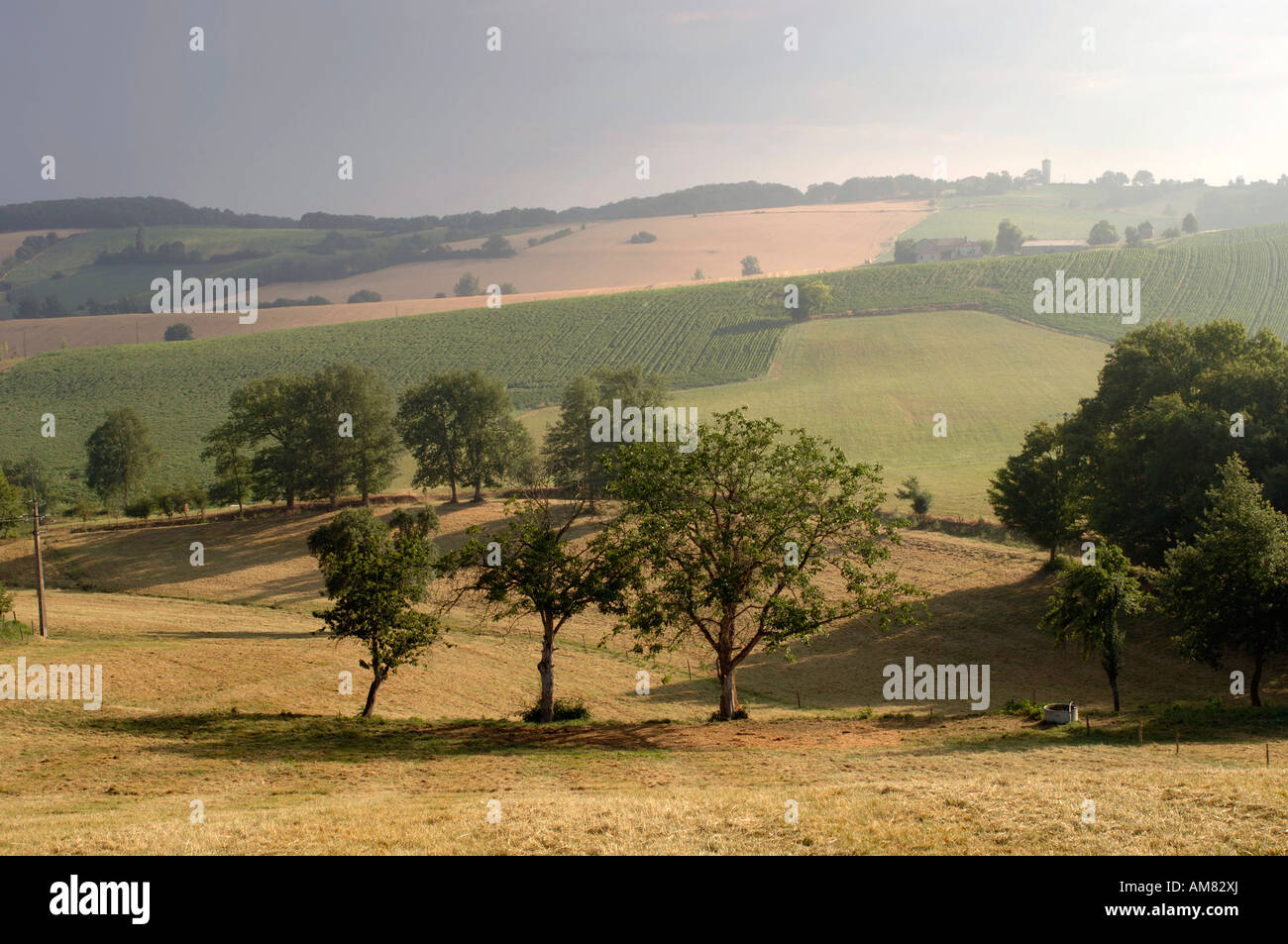 Frankreich Südwesten Rolling Hills Gers Landschaft. Ein leichter Nebel in der Luft Stockfoto