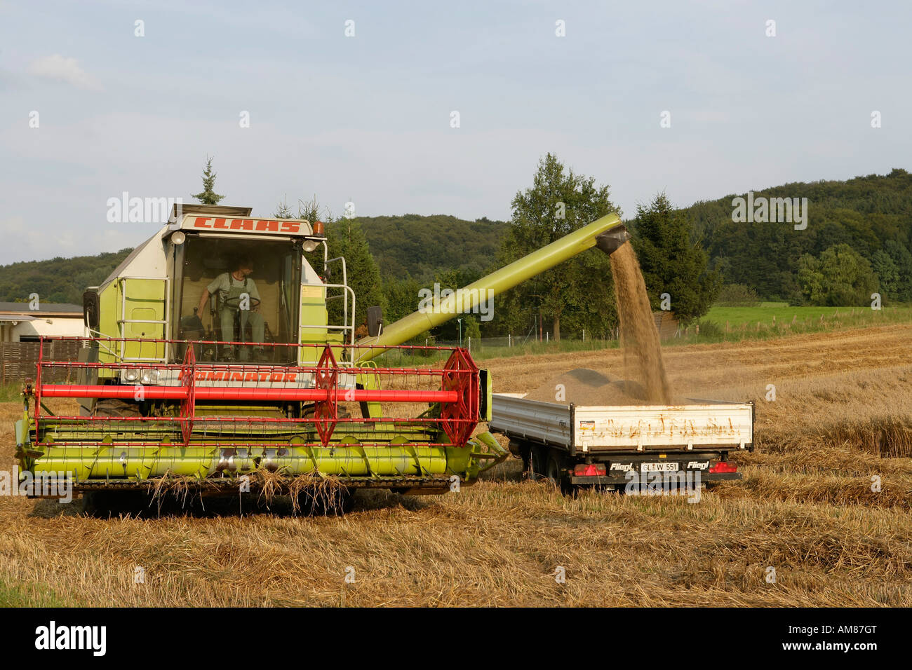 Hafer Ernte, North Rhine-Westphalia, Deutschland Stockfoto