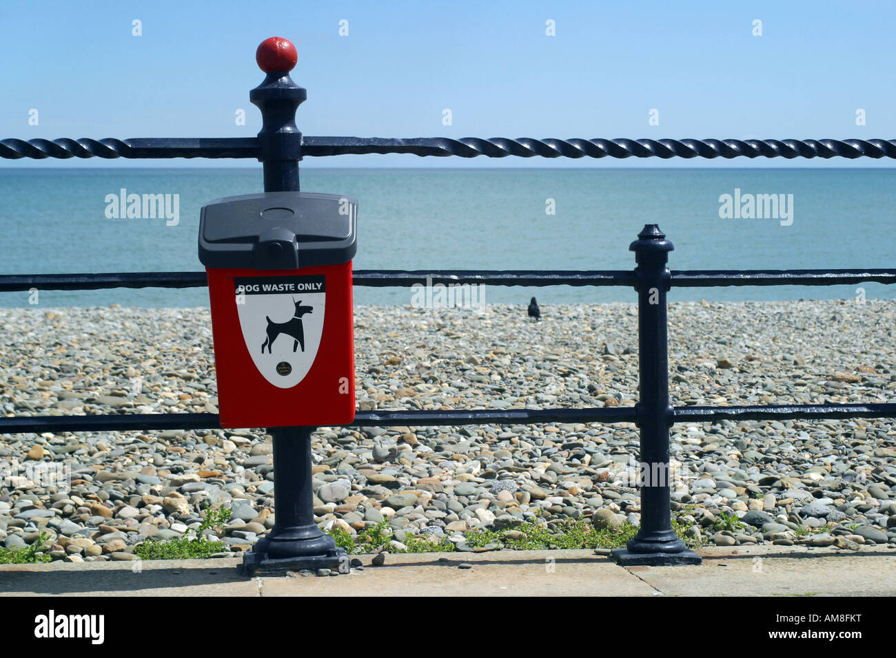 Hund Wurf bin Bray Strandpromenade County Wicklow (Garden of Ireland) Stockfoto