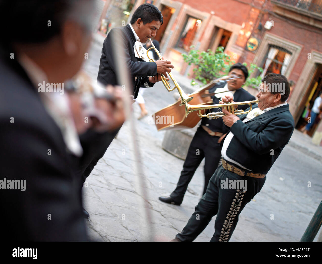Mitglieder einer Gruppe Mariachi jam und führen auf den Straßen von Mexiko Stockfoto