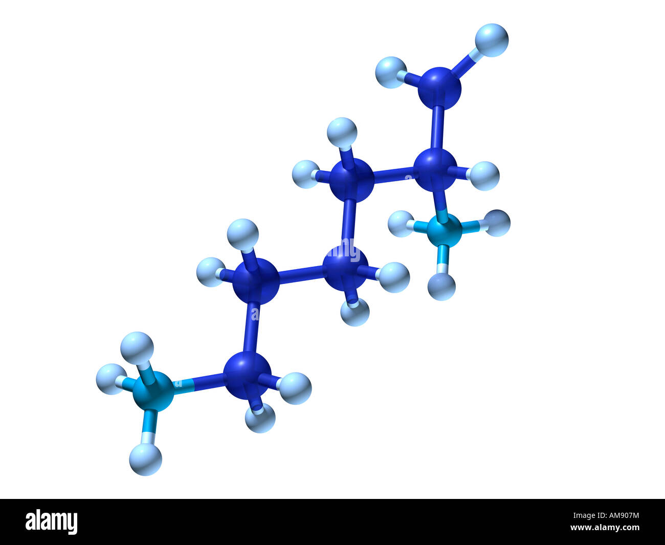 3D-Modell des Moleküls (Aminosäure Lysin) vor einem weißen Hintergrund. Stockfoto