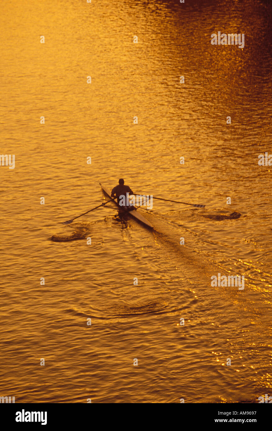 Mann Rudern am Charles River Boston MA Stockfoto