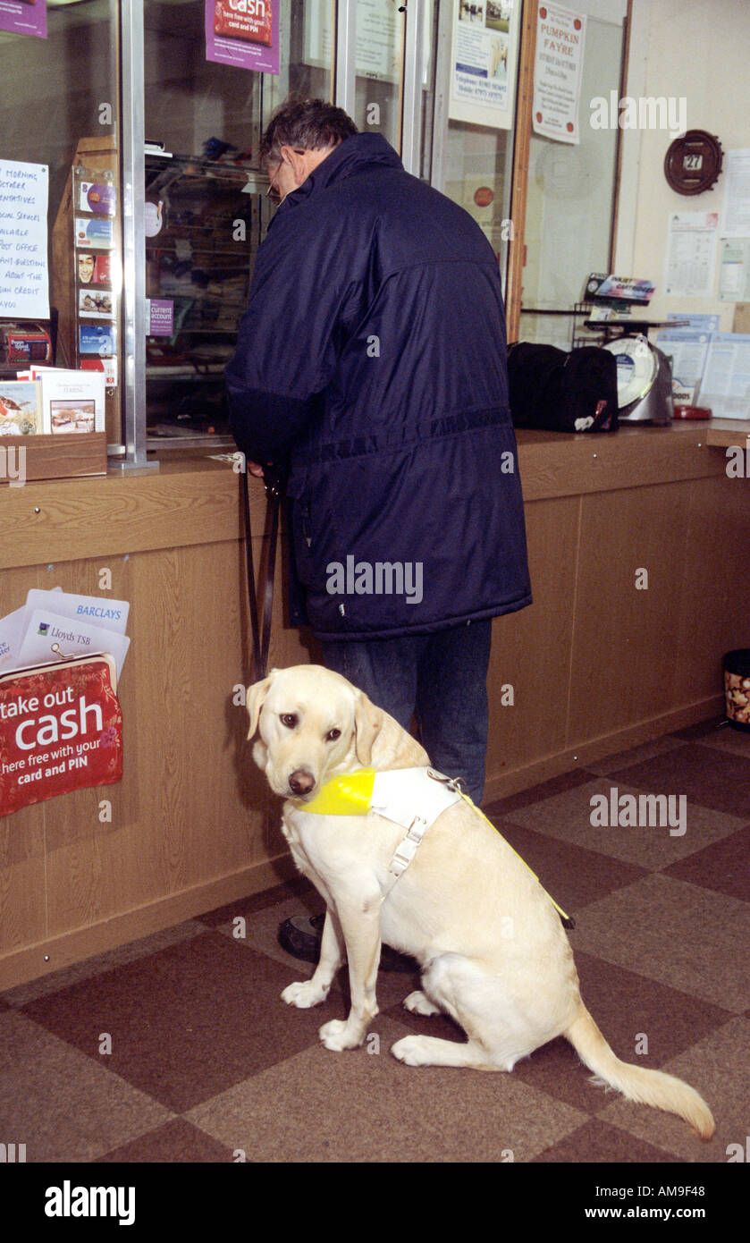 älterer Mann im Postamt mit seinem Gebrauchshund Stockfoto