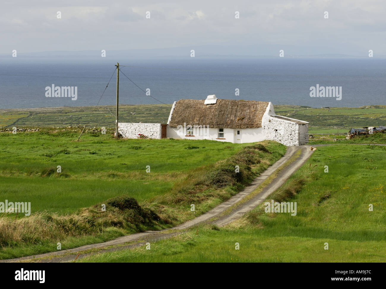 Traditionelles irisches strohgedeckten Hütte in der Nähe von Doolin und den Cliffs of Moher. County Clare, Irland. Stockfoto