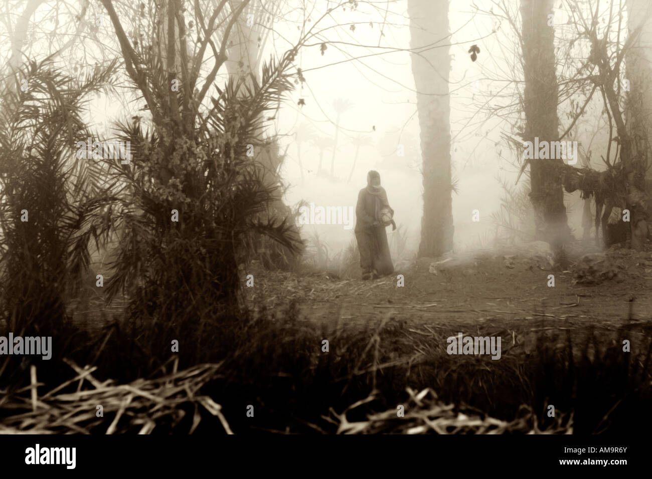 Landwirt bei Sonnenaufgang durch frühen Morgennebel hinter Palmen am Kanalufer, Mittelägypten, Afrika Stockfoto