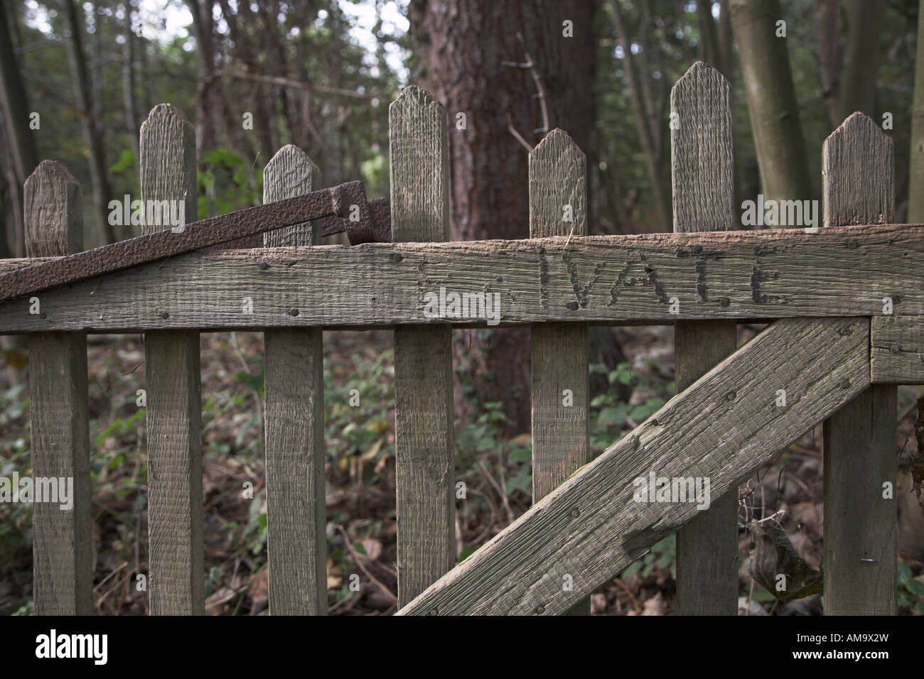 Altes Holztor mit verblassten Private schreiben im Wald Stockfoto