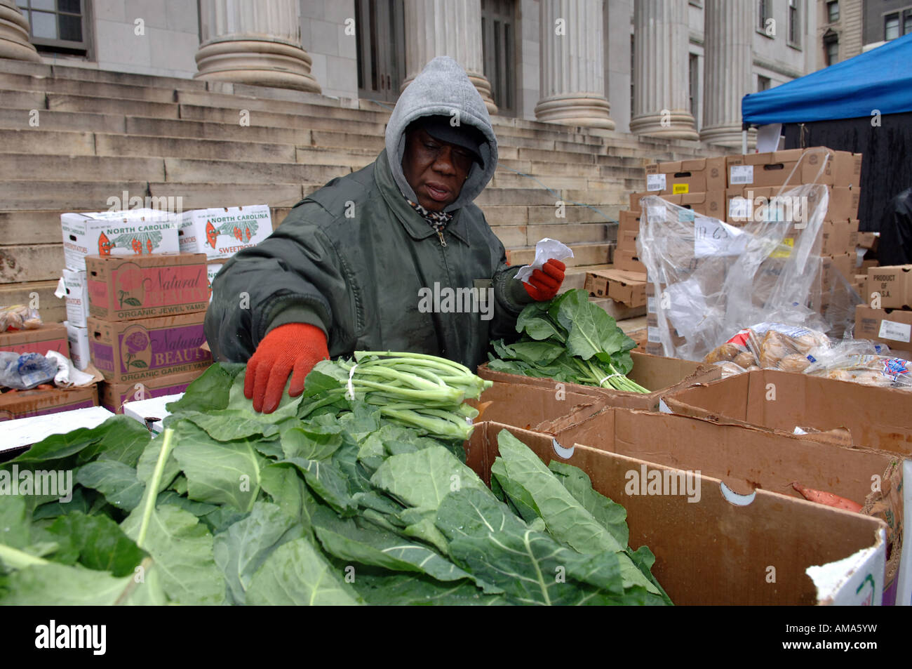 Freiwillige Helfer bereiten Körbe mit gefrorene Truthähne und andere Urlaub Lebensmittel außerhalb Brooklyn Borough Hall in New York City Stockfoto