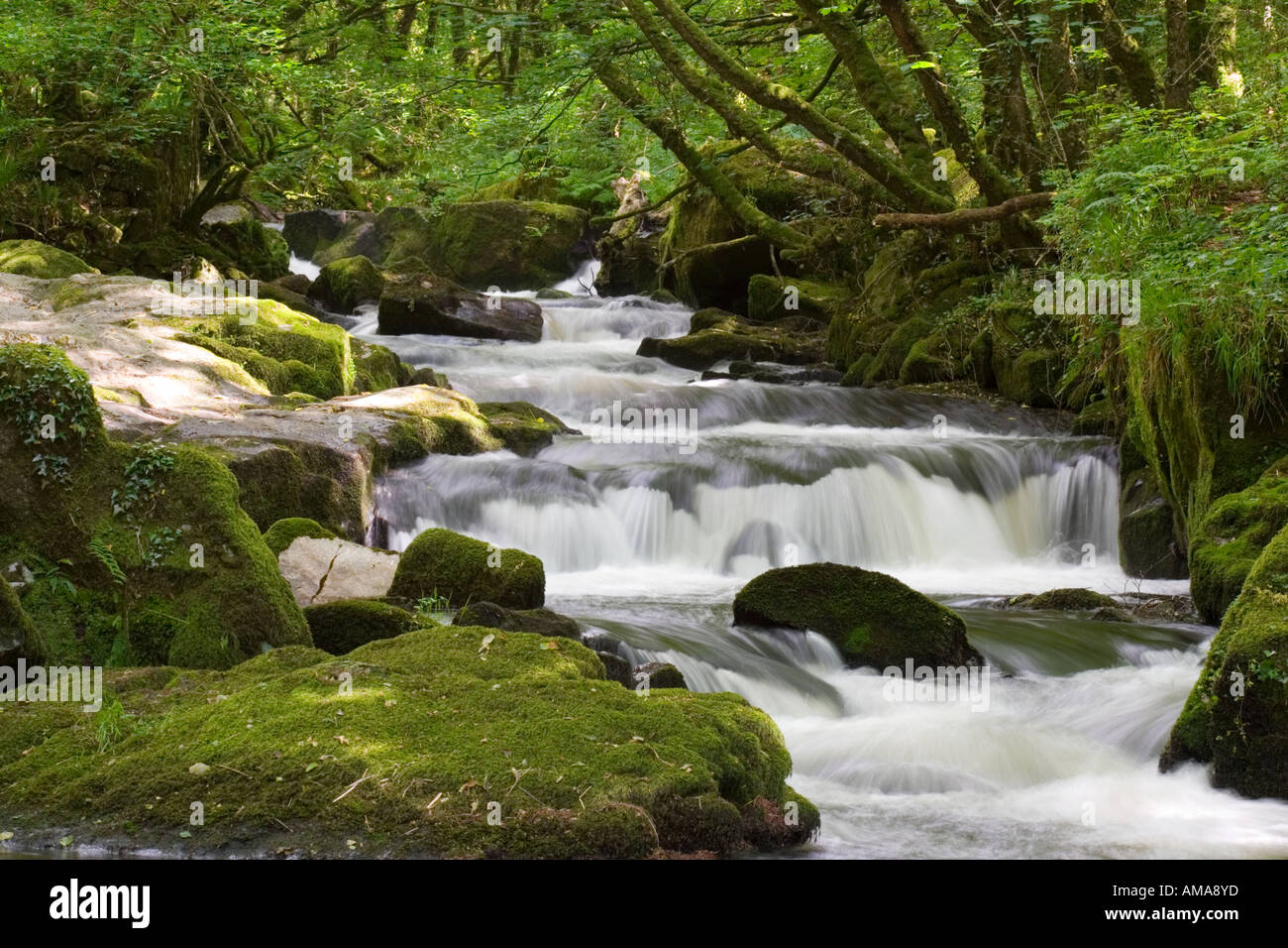 Wasserfälle bei Golitha auf dem Fluss Fowey Stockfoto