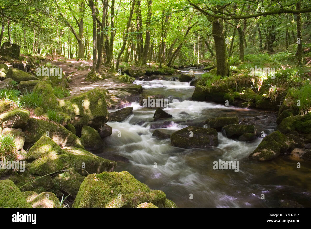 Wasserfälle bei Golitha auf dem Fluss Fowey Stockfoto