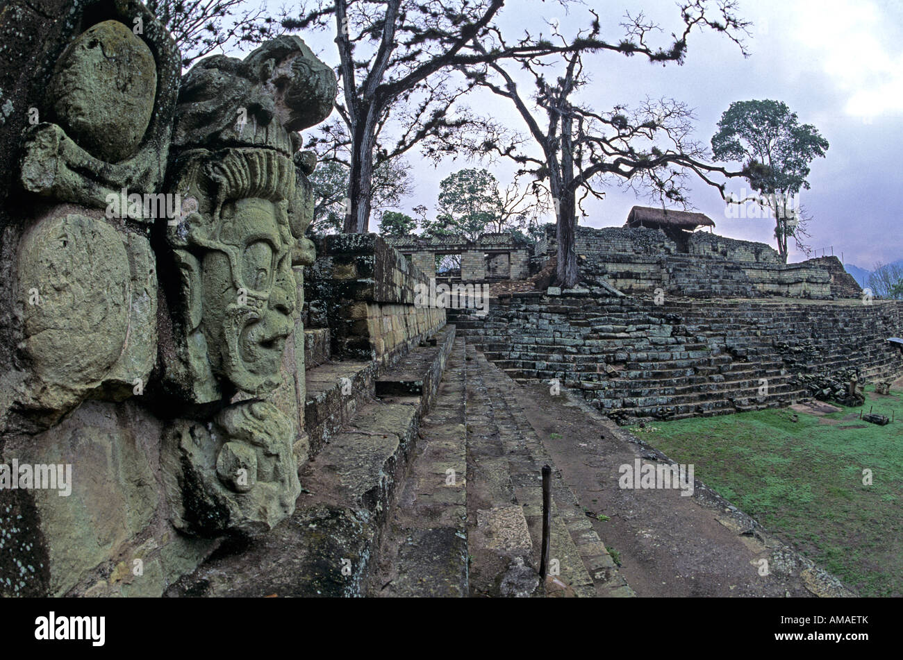 Honduras, Maya, Copan, königliche Krypten, Jaguar Gott Stockfoto