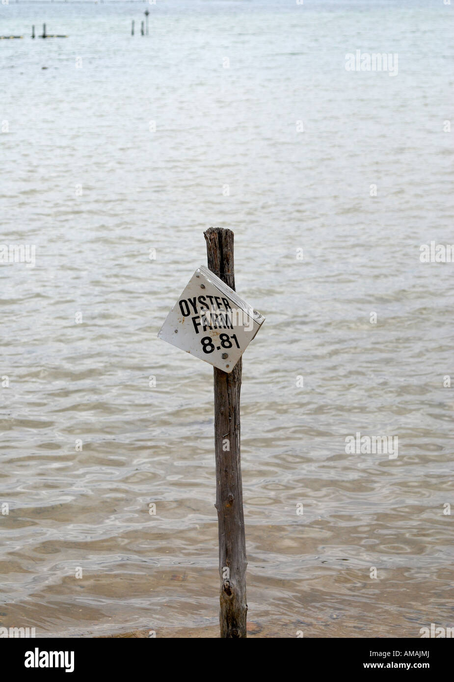 Ein Schild an einem Mast am Merrimbula auf der Sapphire Coast New South Wales eine Austernfarm angibt. Stockfoto