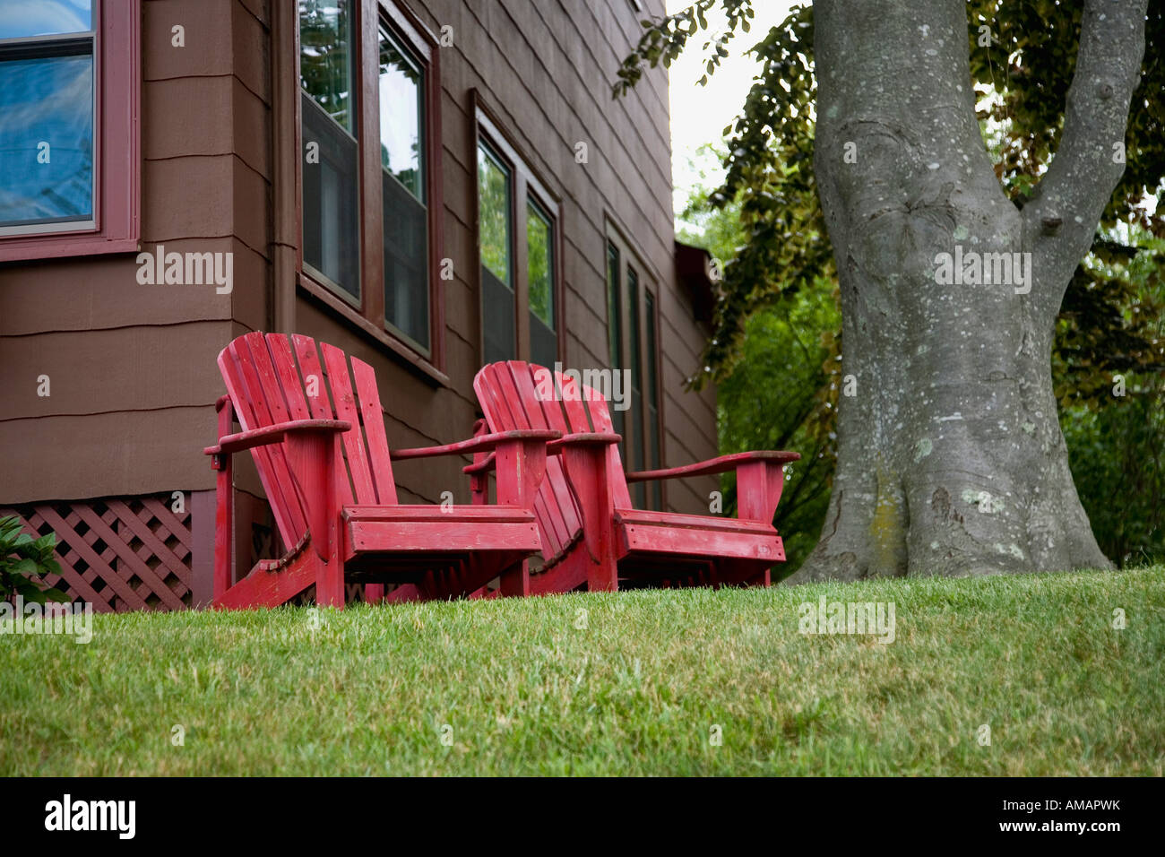Zwei hölzerne Stühle in der Nähe von einem Baum in einem Hof Stockfoto