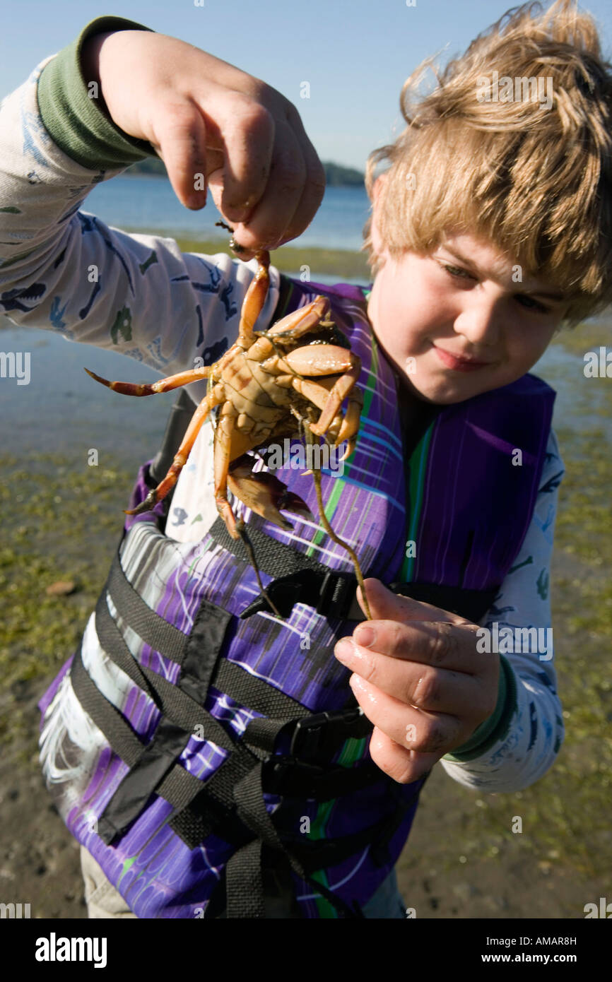 Ein kleiner Junge hält eine Krabbe am Strand Stockfoto