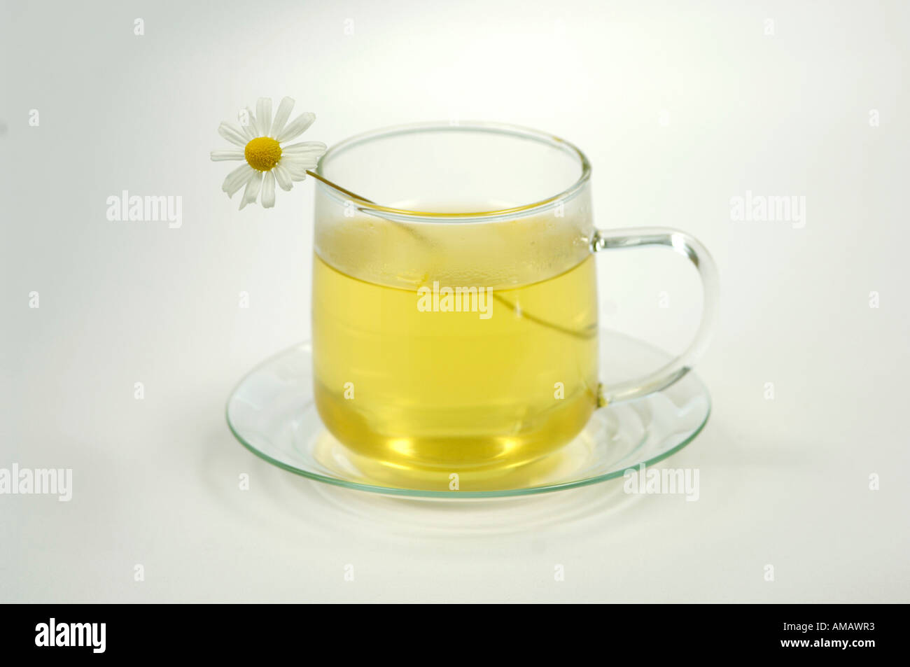 Kamille Tee Cup mit Tee, Nahaufnahme Stockfoto