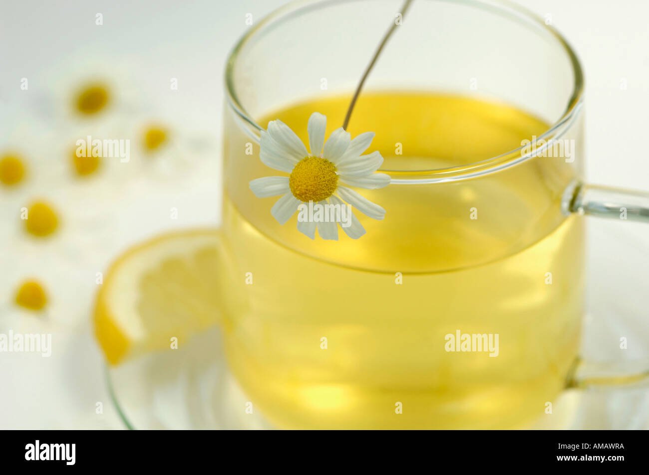 Kamillentee in Glastasse Tee Stockfoto