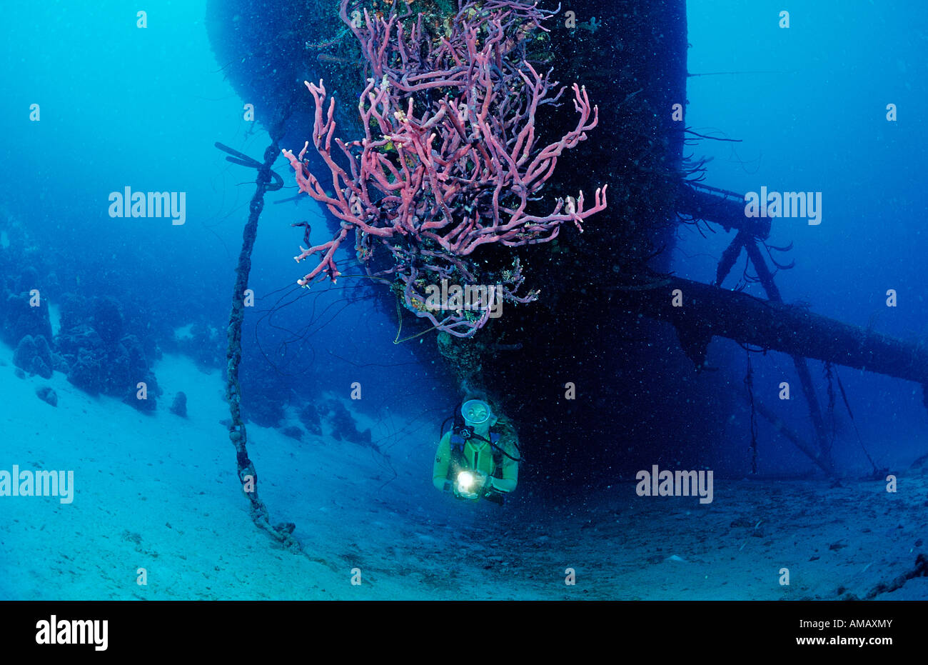 Taucher auf der Hilma Hooker Schiff Wrack Niederländische Antillen Bonaire Karibik Stockfoto