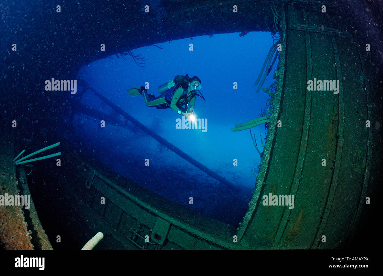Taucher auf der Hilma Hooker Schiff Wrack Niederländische Antillen Bonaire Karibik Stockfoto