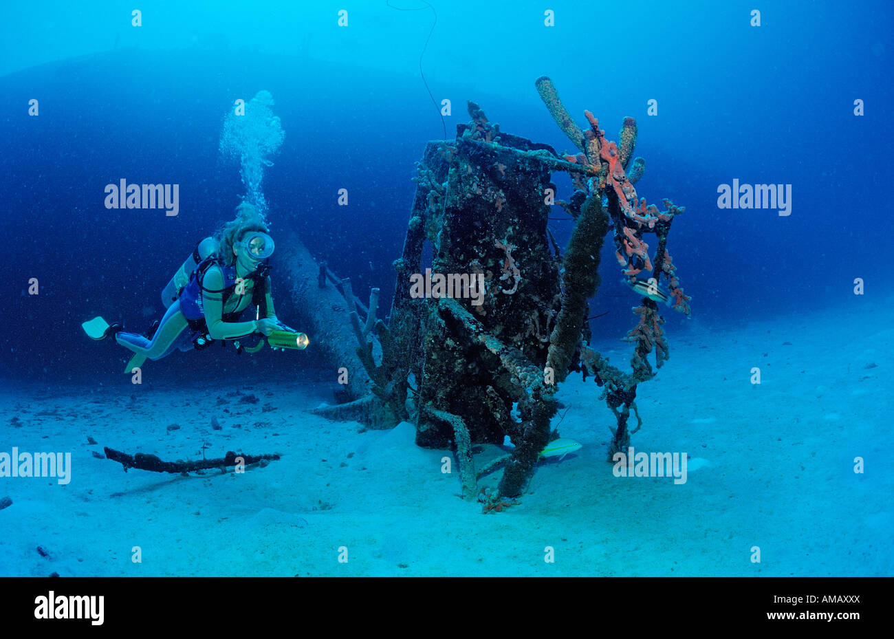 Taucher auf der Hilma Hooker Schiff Wrack Niederländische Antillen Bonaire Karibik Stockfoto