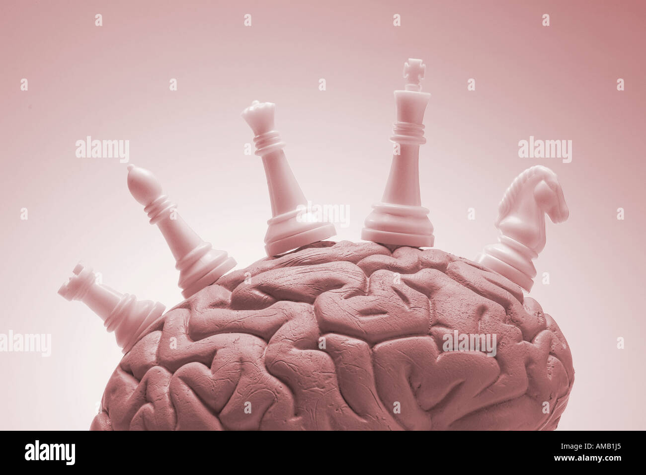 Menschlichen Gehirns mit Schachfiguren Stockfoto