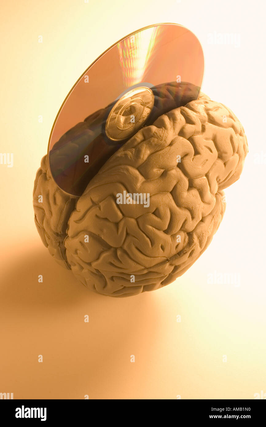 Menschliche Gehirn und CD Stockfoto