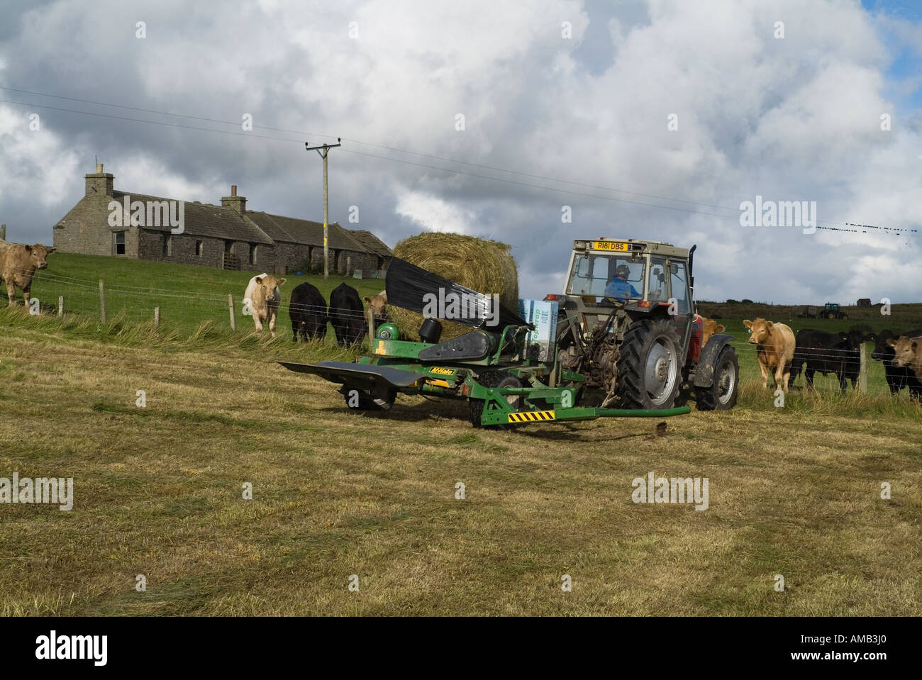 dh ERNTE UK Traktor Rapping Maschinen Trockensilage Grasballen und Cottage Orhir Orkney Wrap Cover Landwirt runden Ballenwickler Stockfoto