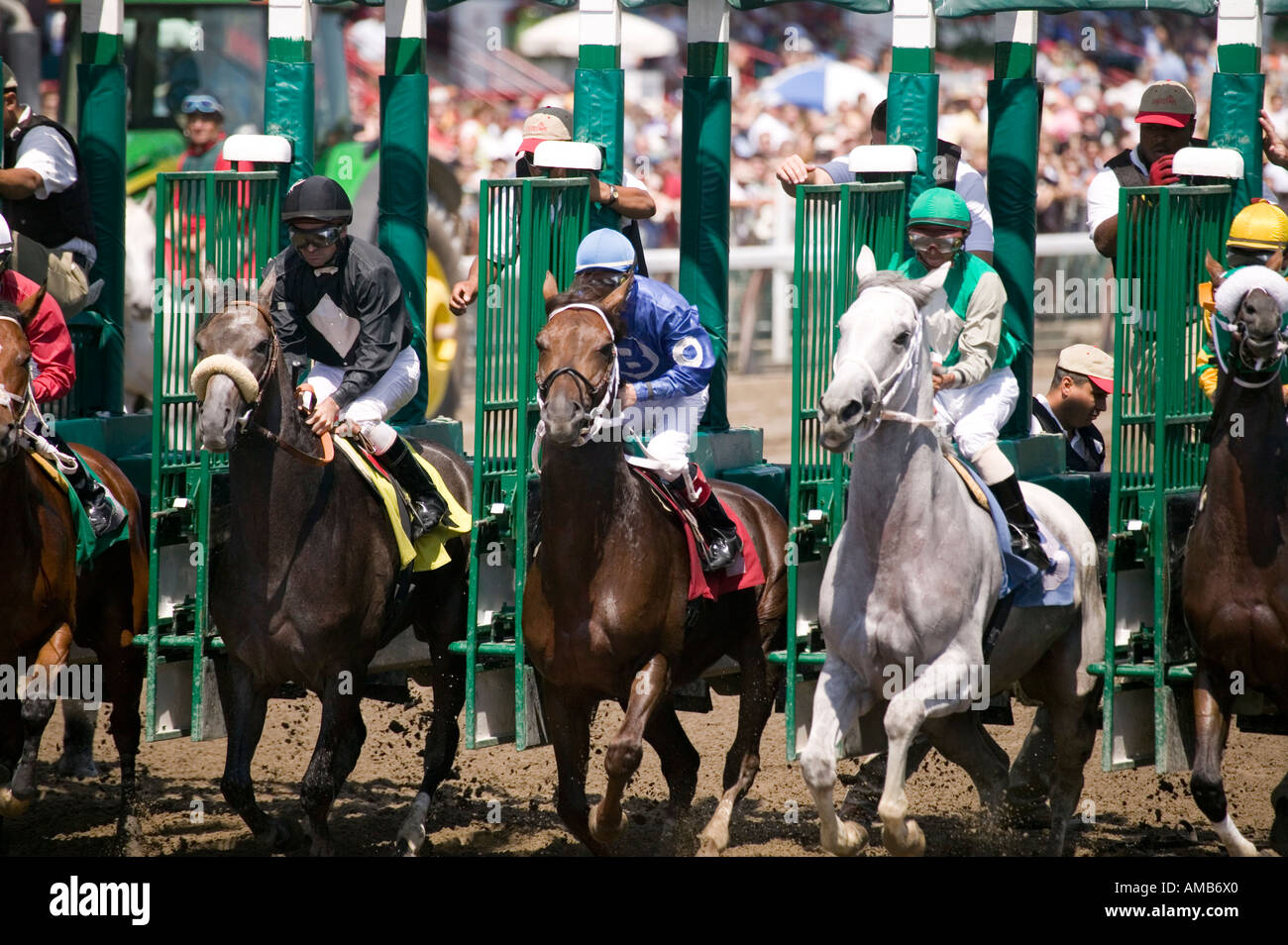 Jockeys und Pferde verlassen die starten Boxen auf der Rennbahn Saratoga Springs USA August 2006 Stockfoto