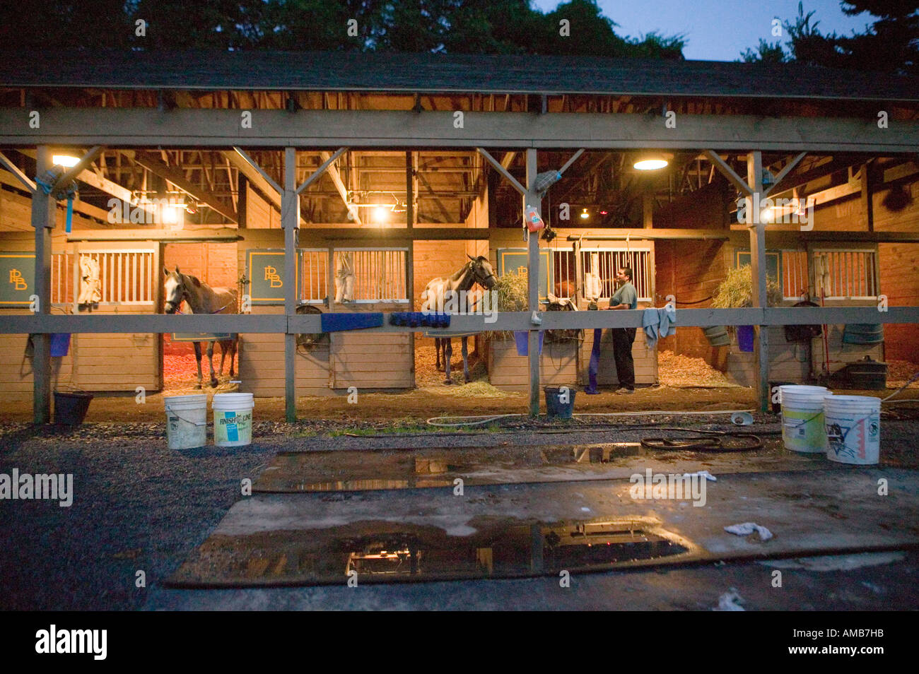 Früh morgens in einer Scheune in Saratoga Springs USA August 2006 Stockfoto