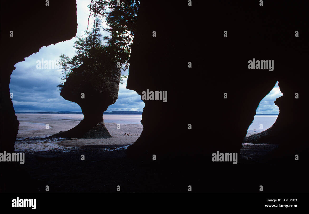 Hopewell Rocks Sandstein erodiert durch die Bay Of Fundy Gezeiten in der Nähe von Moncton neue Brusnwick Stockfoto