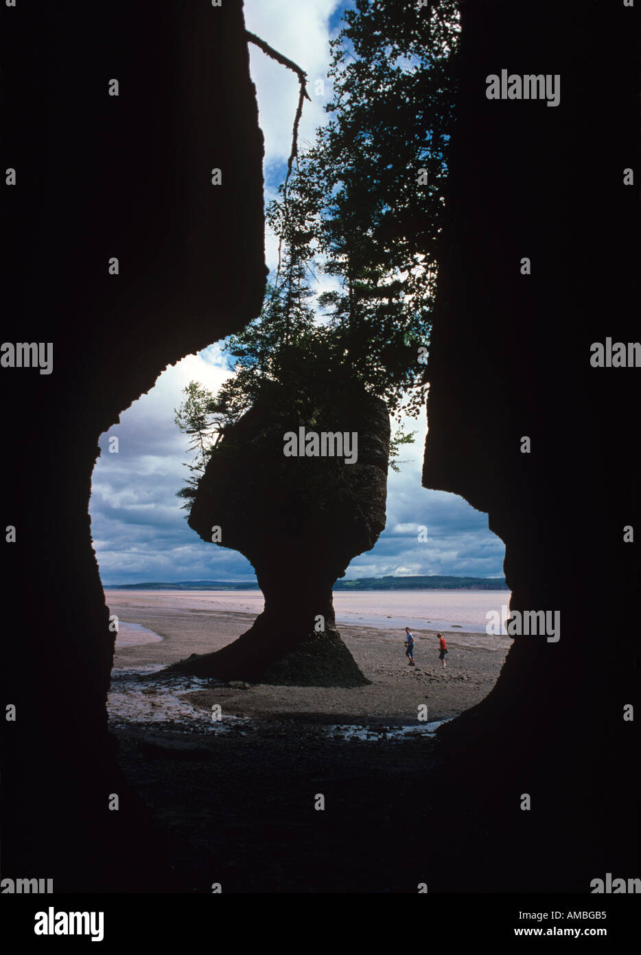 Hopewell Rocks Sandstein erodiert durch die Bay Of Fundy Gezeiten in der Nähe von Moncton neue Brusnwick Stockfoto