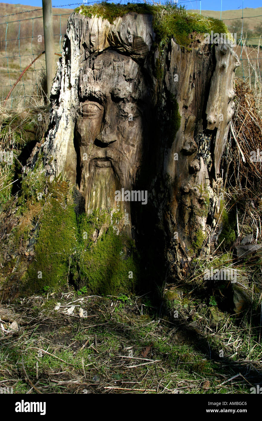 Gesicht geformt aus Baumstumpf an Ort und Stelle Stockfoto