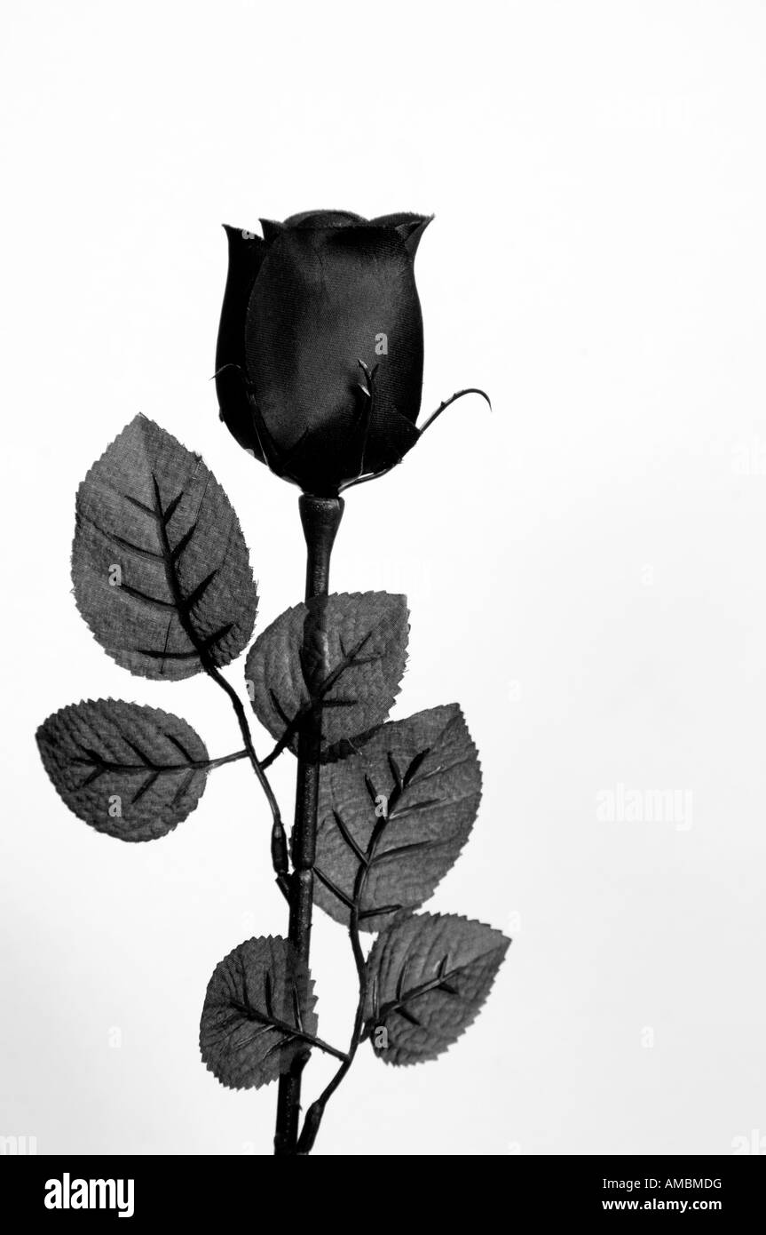 Künstliche schwarze rose Stockfoto