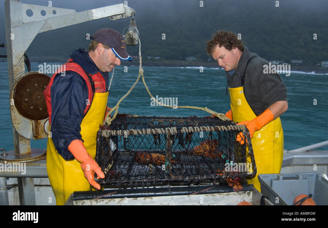 Crayfishermen Robert Mcherron und Jamie Reinke entladen einen Cray-Topf, Gefäß Mystique, Kaikoura, Neuseeland Stockfoto