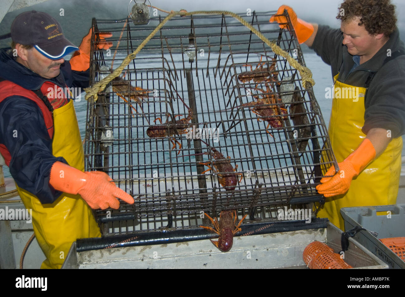 Crayfishermen Robert Mcherron und Jamie Reinke entladen einen Cray-Topf, Gefäß Mystique, Kaikoura, Neuseeland Stockfoto