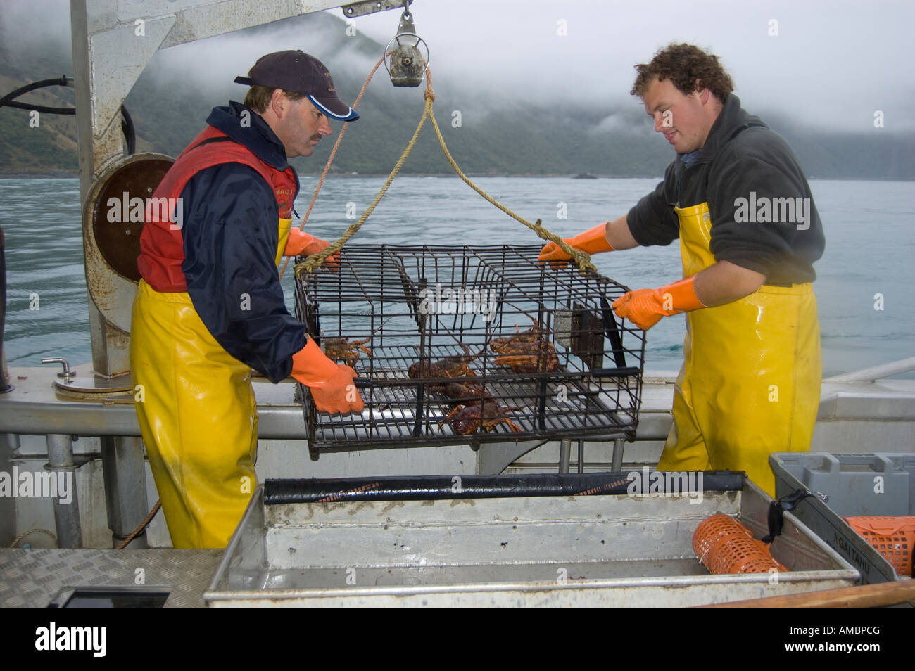 Crayfishermen Robert Mcherron und Jamie Reinke Erziehung ein Cray-Topf, Gefäß Mystique, Kaikoura, Neuseeland Stockfoto