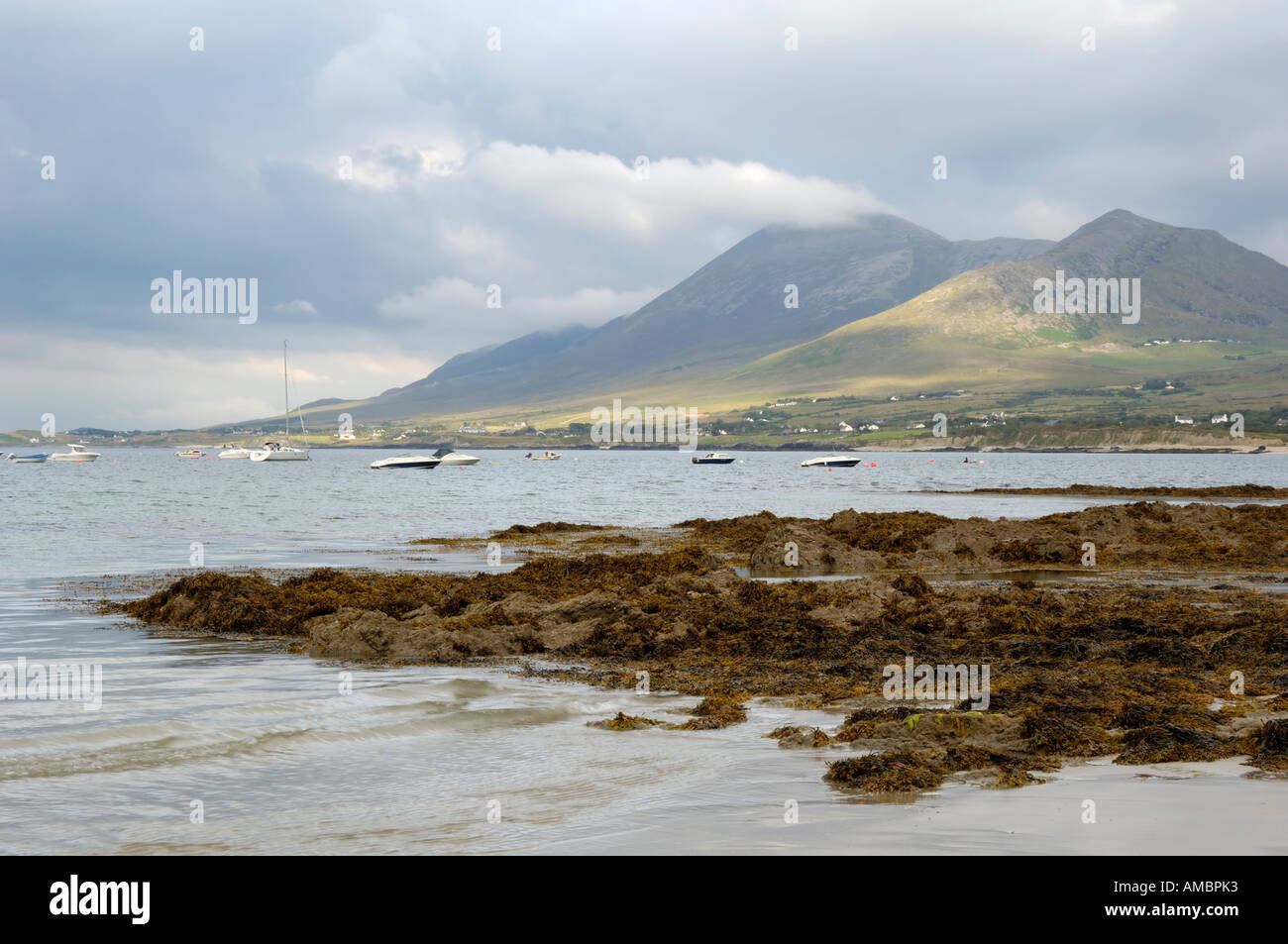 Berg Croagh Patrick und Clew Bay, aus alten Kopf, County Mayo, Irland Stockfoto