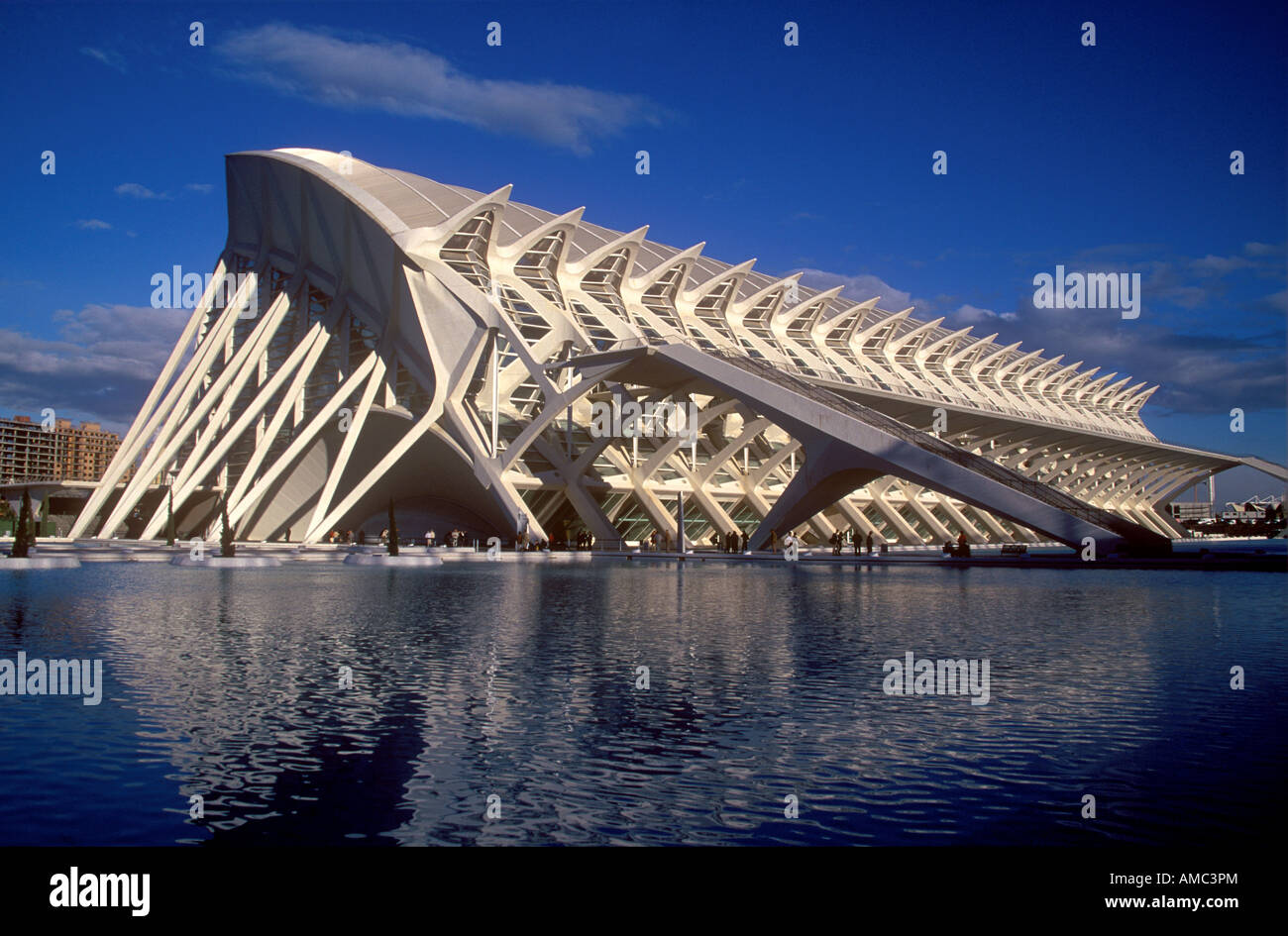 Stadt der Künste und Wissenschaften Museum des 21. Jahrhunderts in der Stadt Valencia Stockfoto
