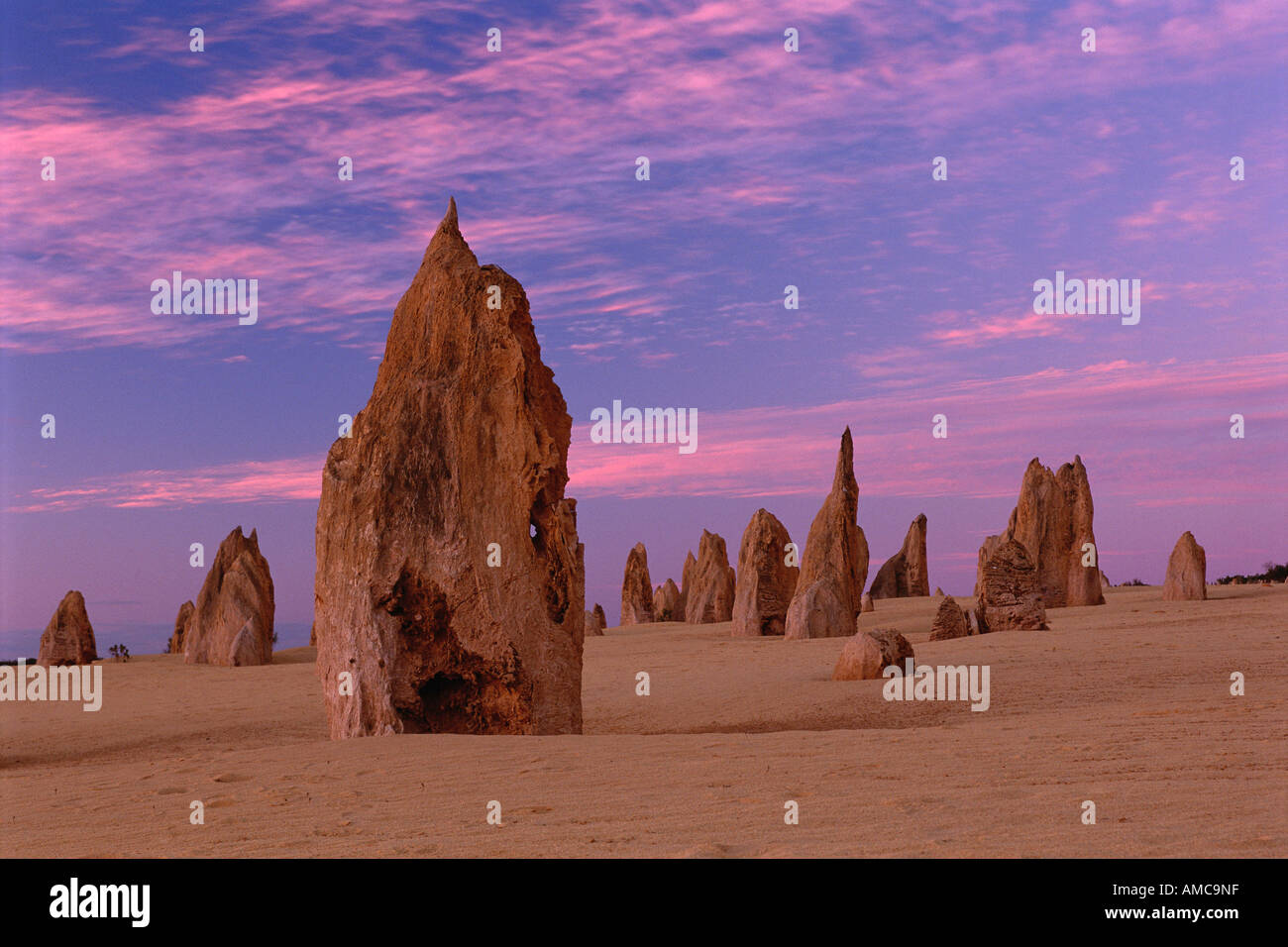 Kalkstein Pinnacles, Pinnacle Wüste, Western Australia, Australien Stockfoto