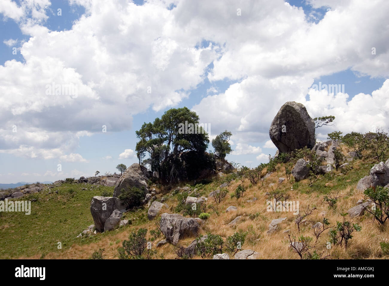 Nyika-Plateau NP-malawi Stockfoto