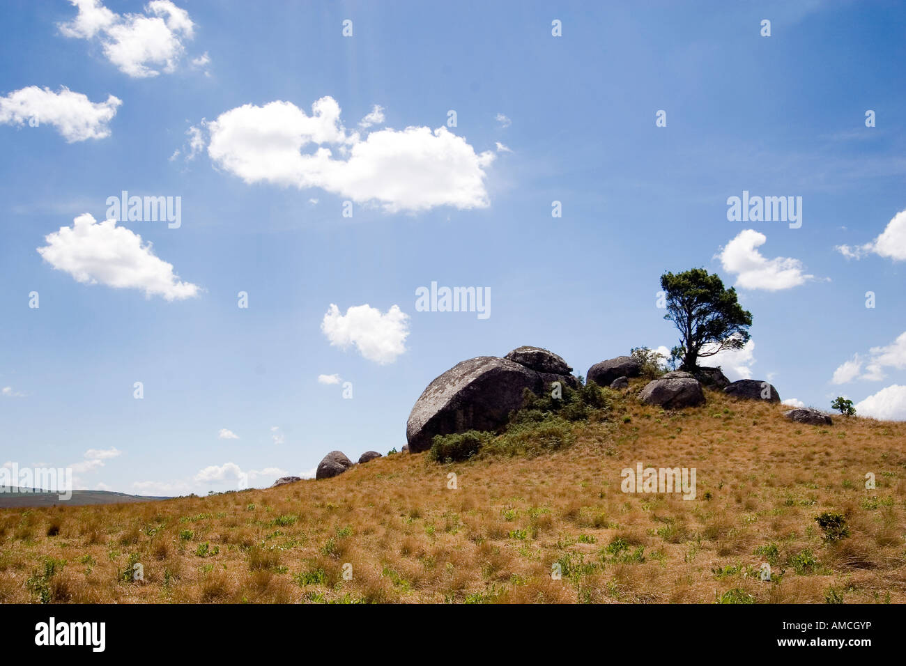 Kopje in Malawi Nyika-Plateau NP Stockfoto