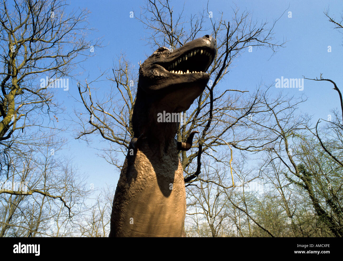 Tarbosaurus mit offenem Mund Vorgeschichte Park Rivolta D Adda Lombardy Italien Stockfoto