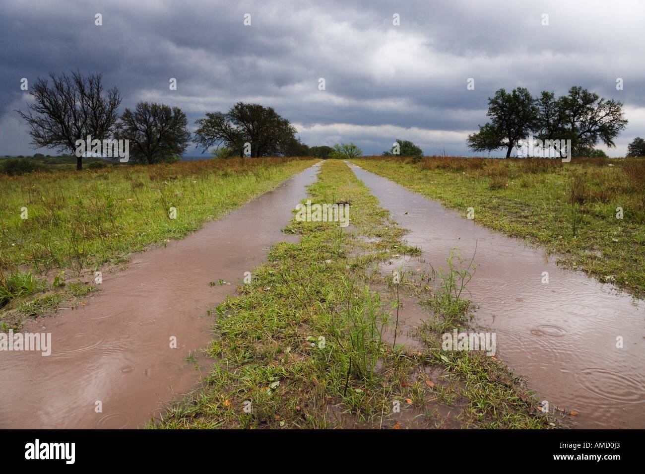 Überfluteten Land Straße, Texas, USA Stockfoto