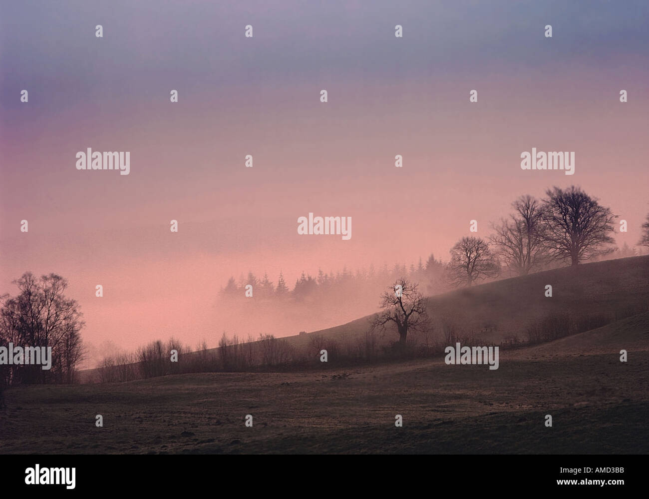 Lake District National Park Windermere Sonnenaufgang Blick vom hohen Wray in der Nähe von Hawkshead Stockfoto