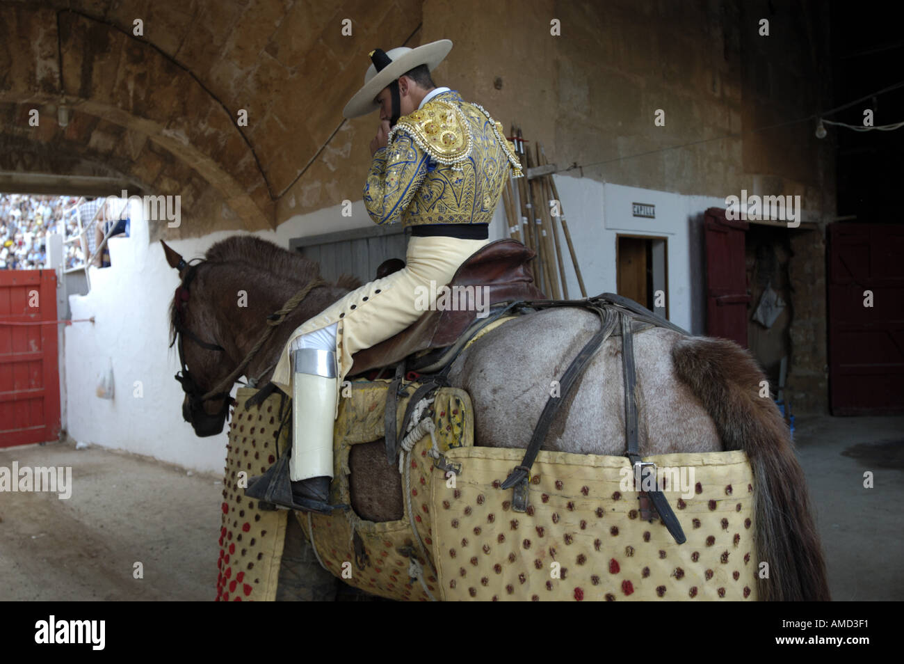 Die Entsorgung von einem Stier nach einem Stierkampf in Spanien. Stockfoto